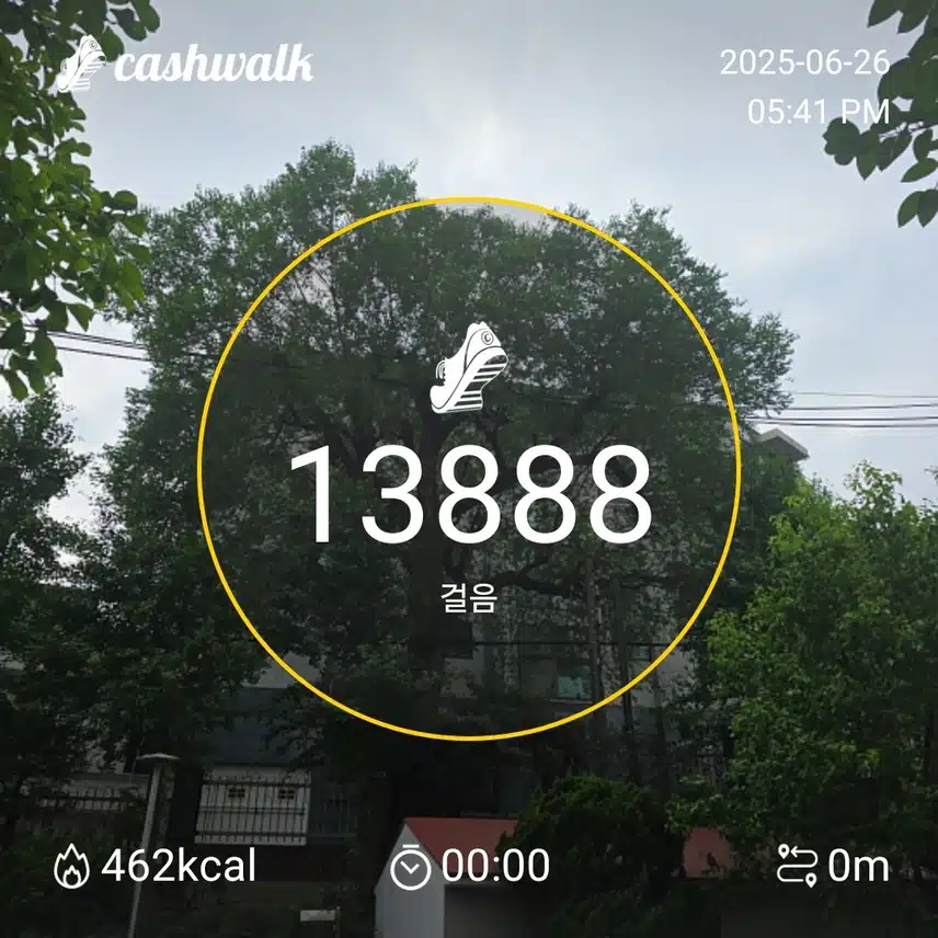 목요일 마무리 