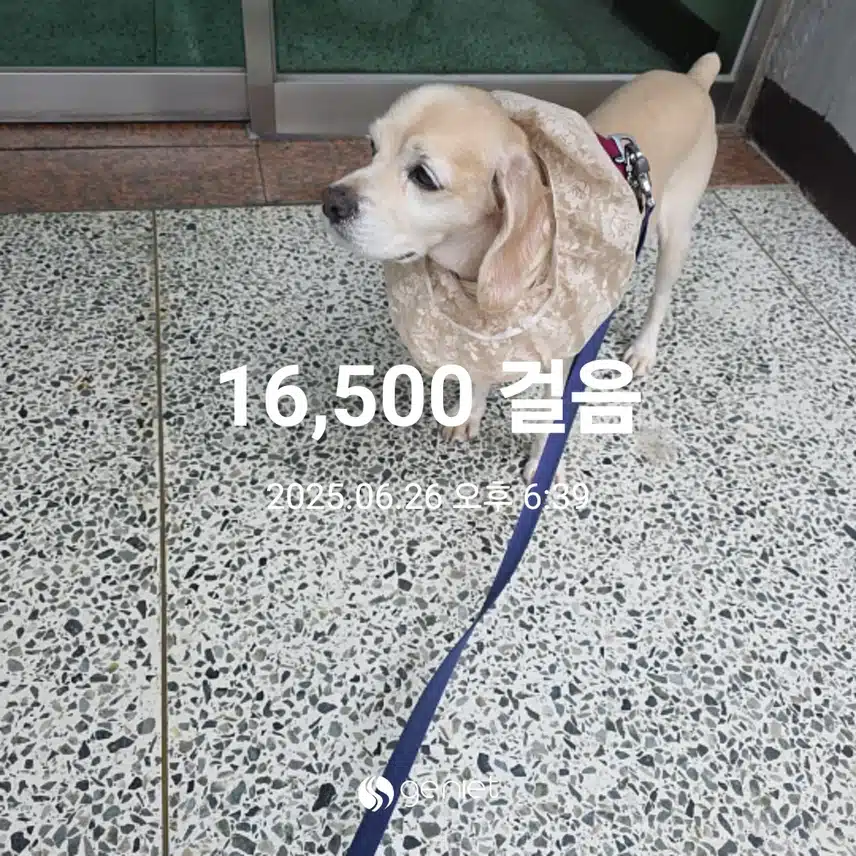 목요일 마무리 