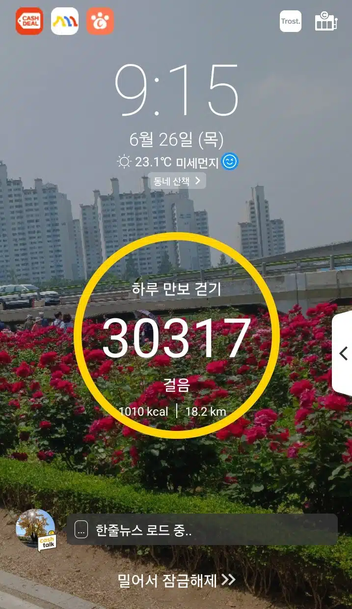 삼만보 걷기 