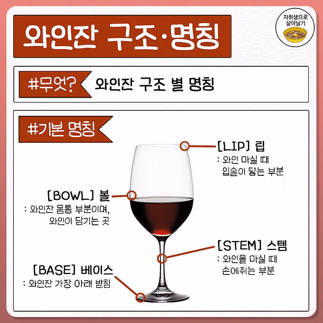 와인 마실 때 알아두면 좋은 와인 에티켓🍷