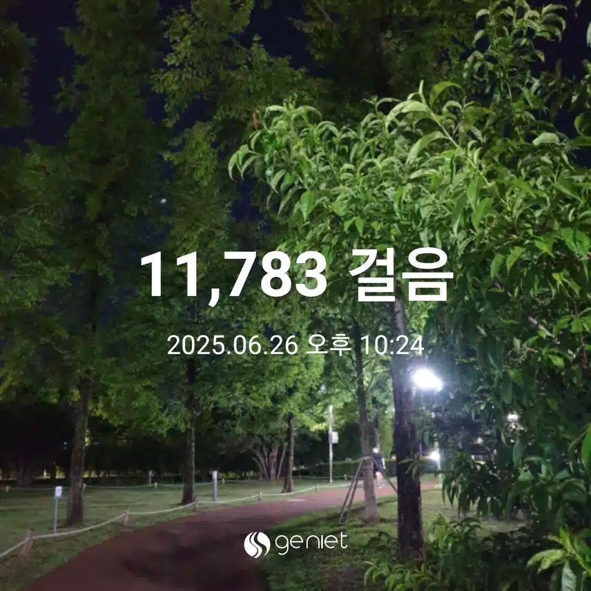 식후 걷기