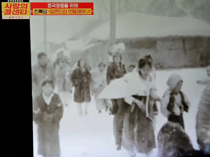 보이스 동안 90살 어르신 천록담님 픽 했어요