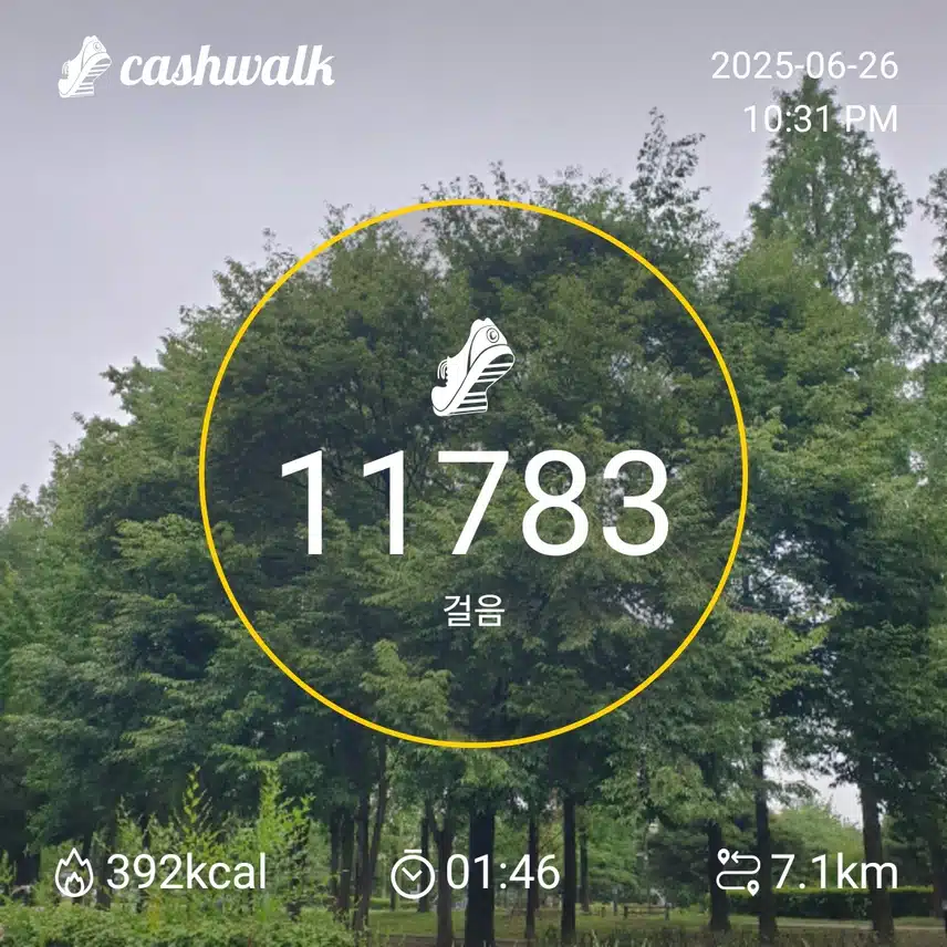 굿밤