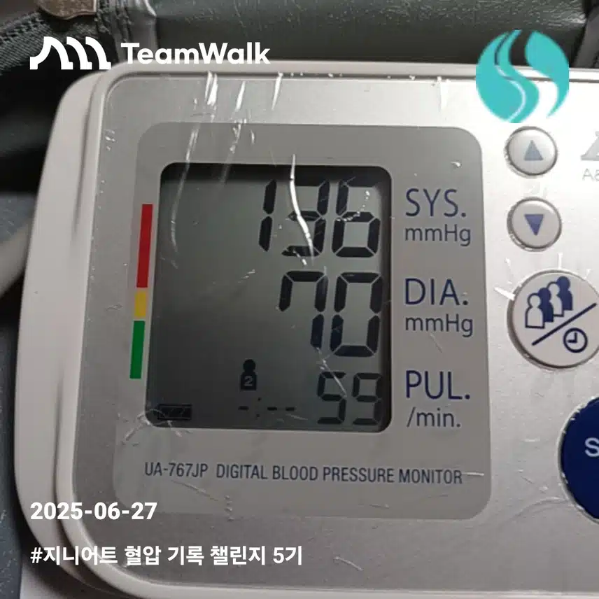 혈압5일차인증