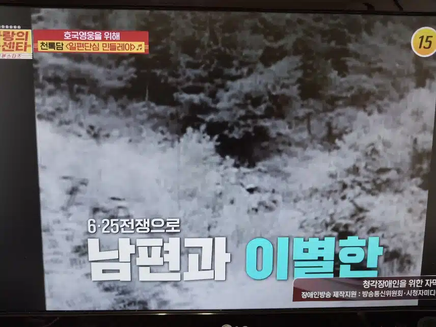 대전 참전용사팬은 천록담님 팬이네요