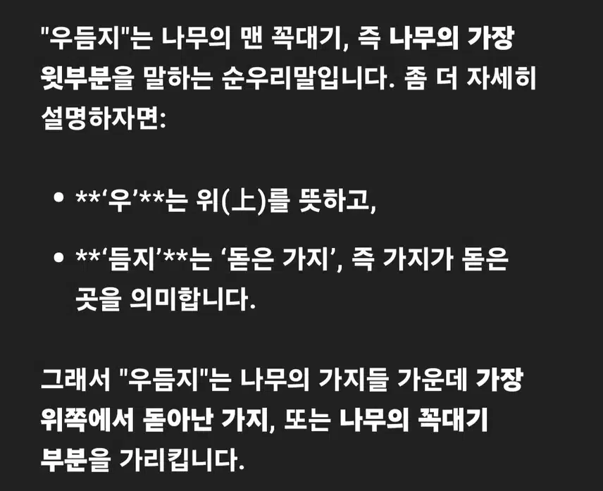 아침 숲  산책