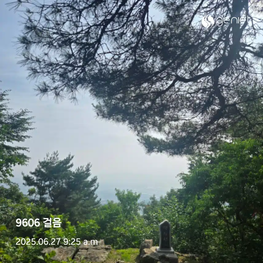 아침 산행으로 걷기