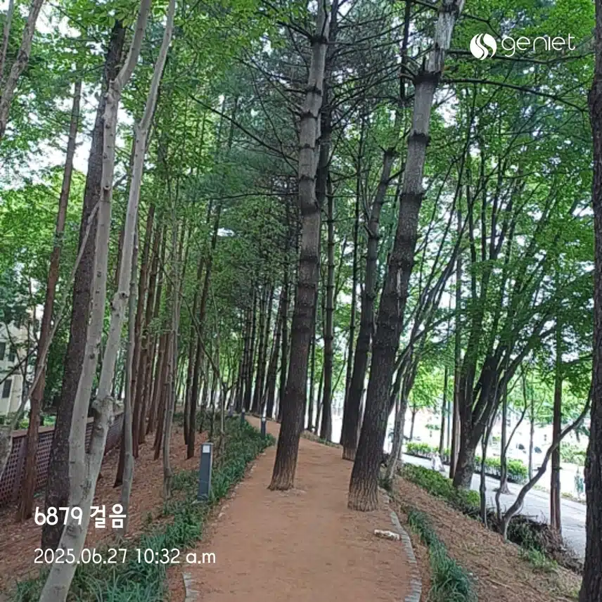 오전운동