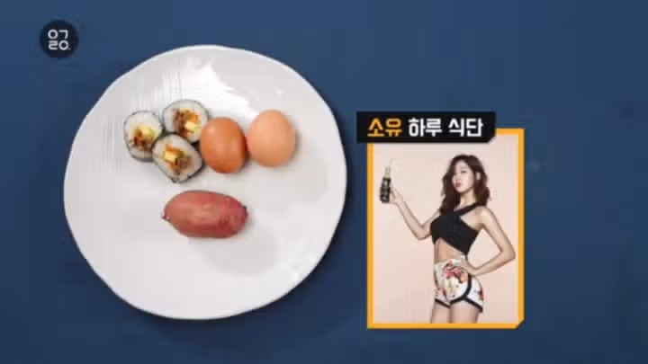 연예인들의 다이어트 식단