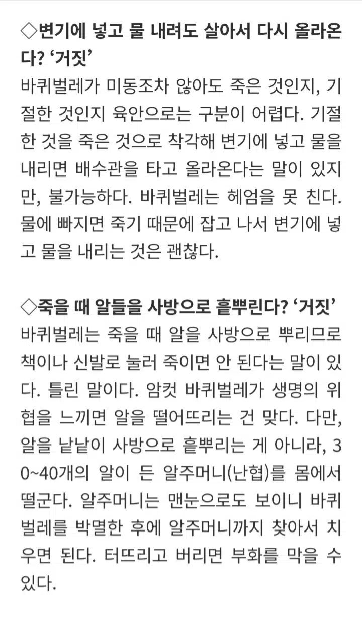 “바퀴벌레 한 마리 보이면, 이미 늦은 것”이라는 말… 사실일까?