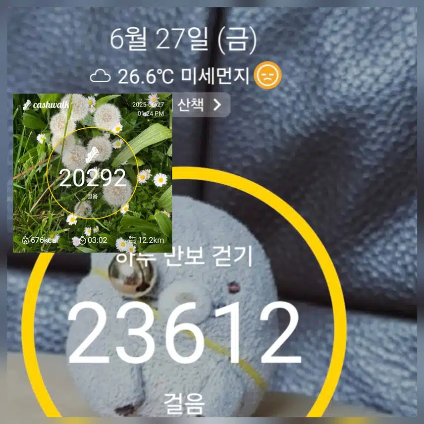 🤪노릇~ 구워진 건가~🐖 만보걷기완료~🤤