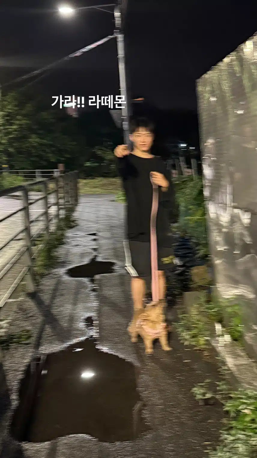 Hoshi Insta enjoying a walk with his dog Latte