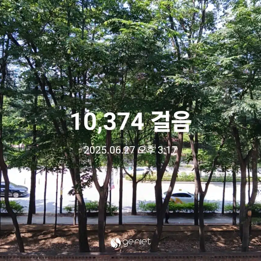 금요일 걷기운동^^