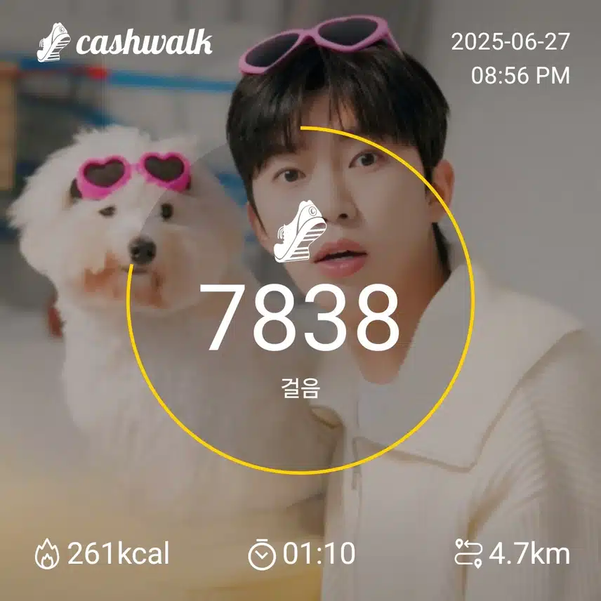 인증