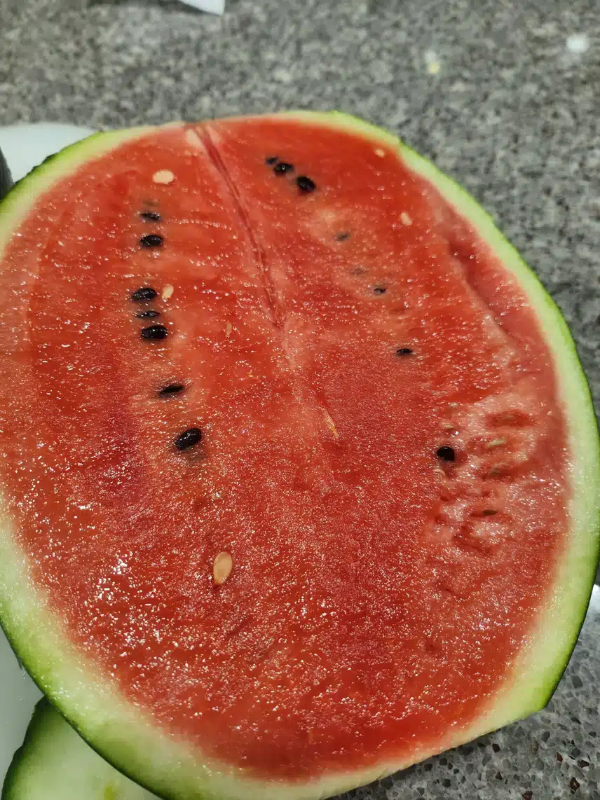수박 쪼개요~🍉 