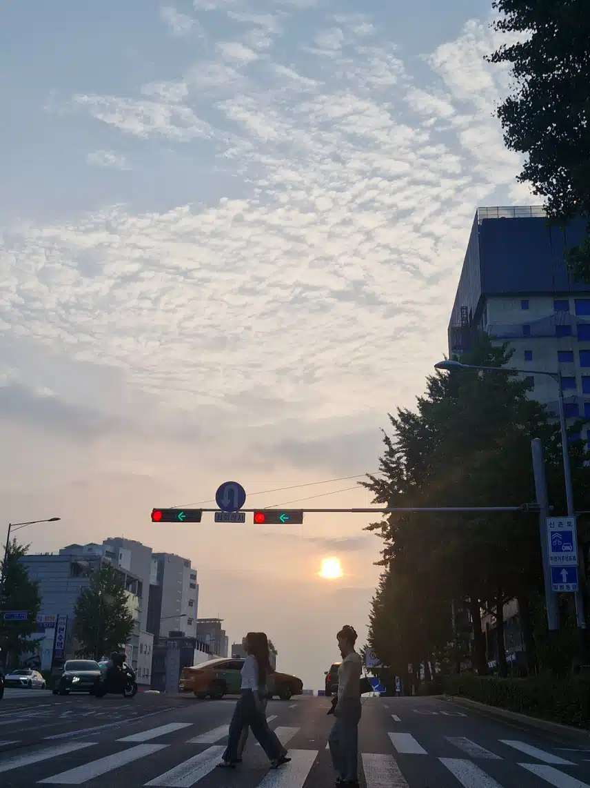 바빳던 금요일은 이렇게 만보 마무리해요