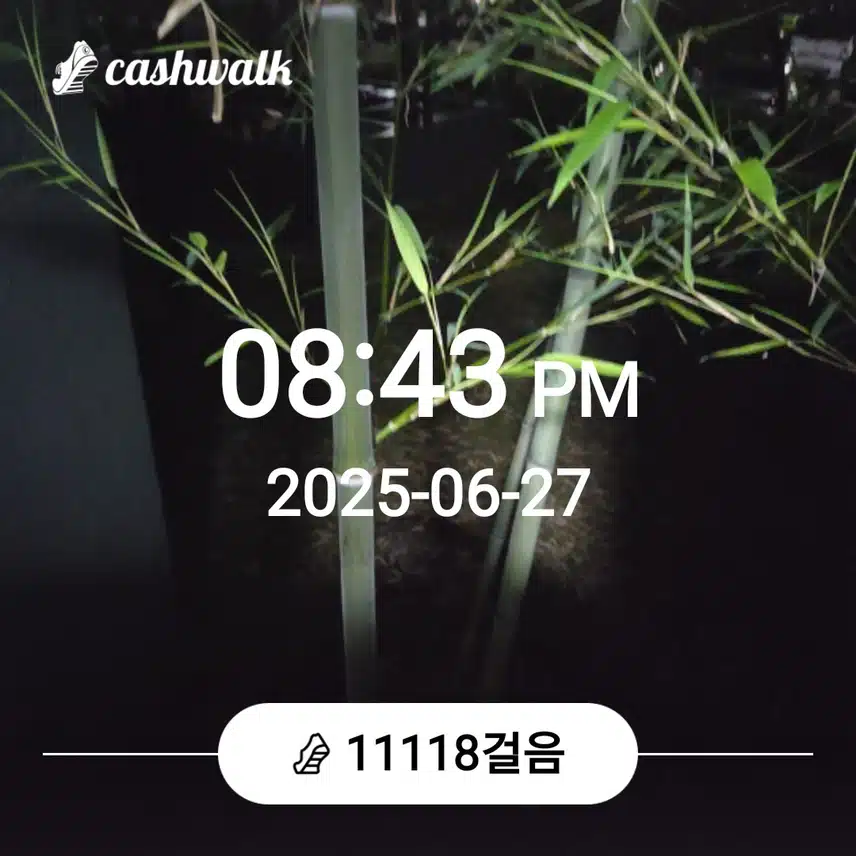 만보걷기