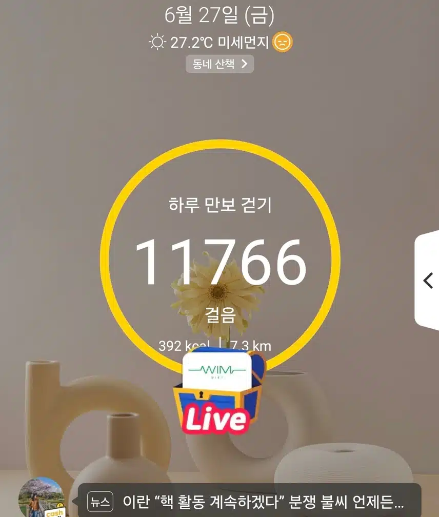 하루 만보걷기 인증