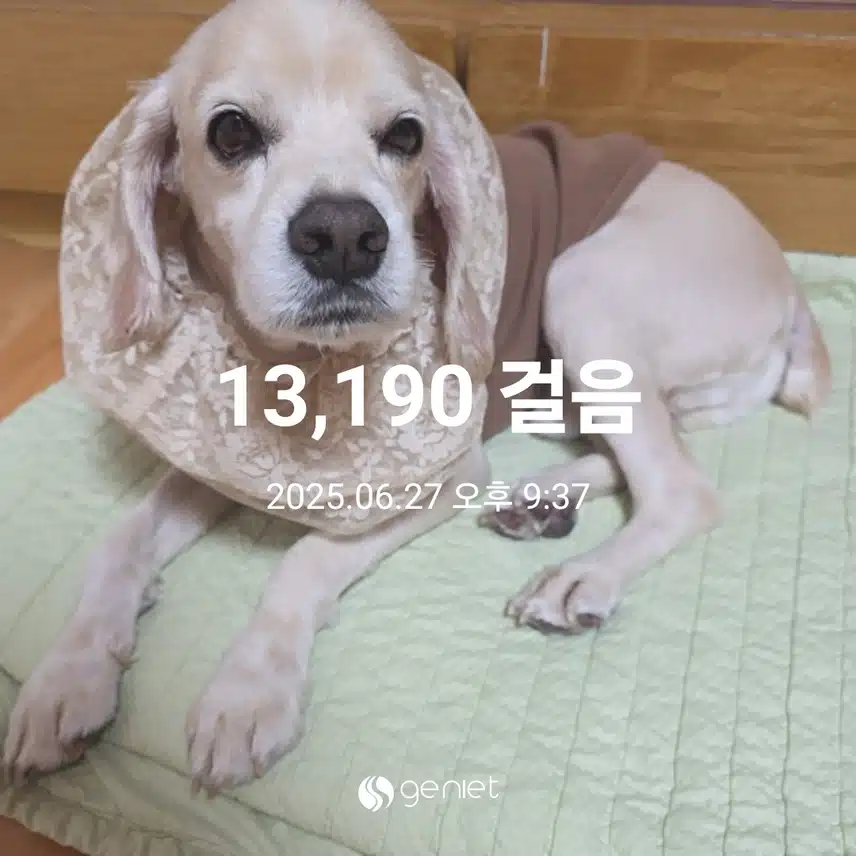 금요일 마무리 