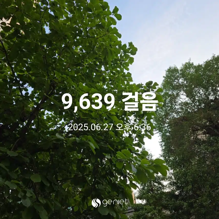 금요일 마무리 