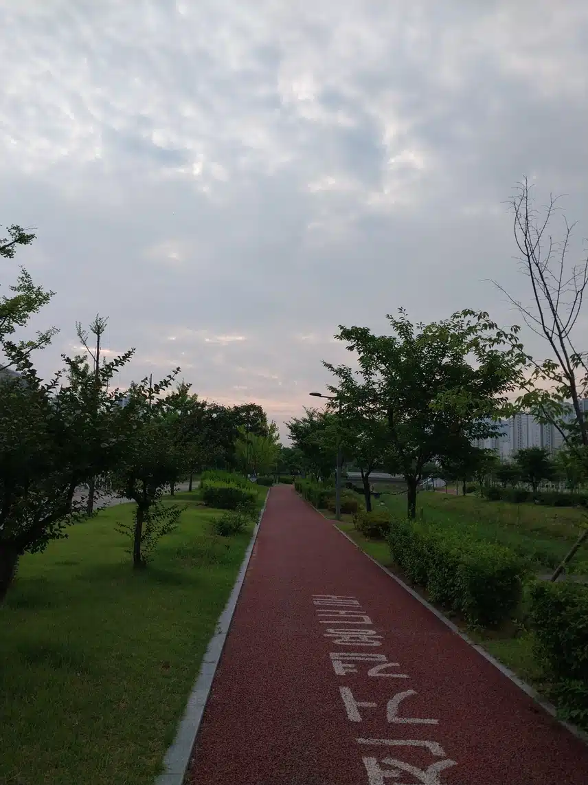 새벽운동 다녀왔어요