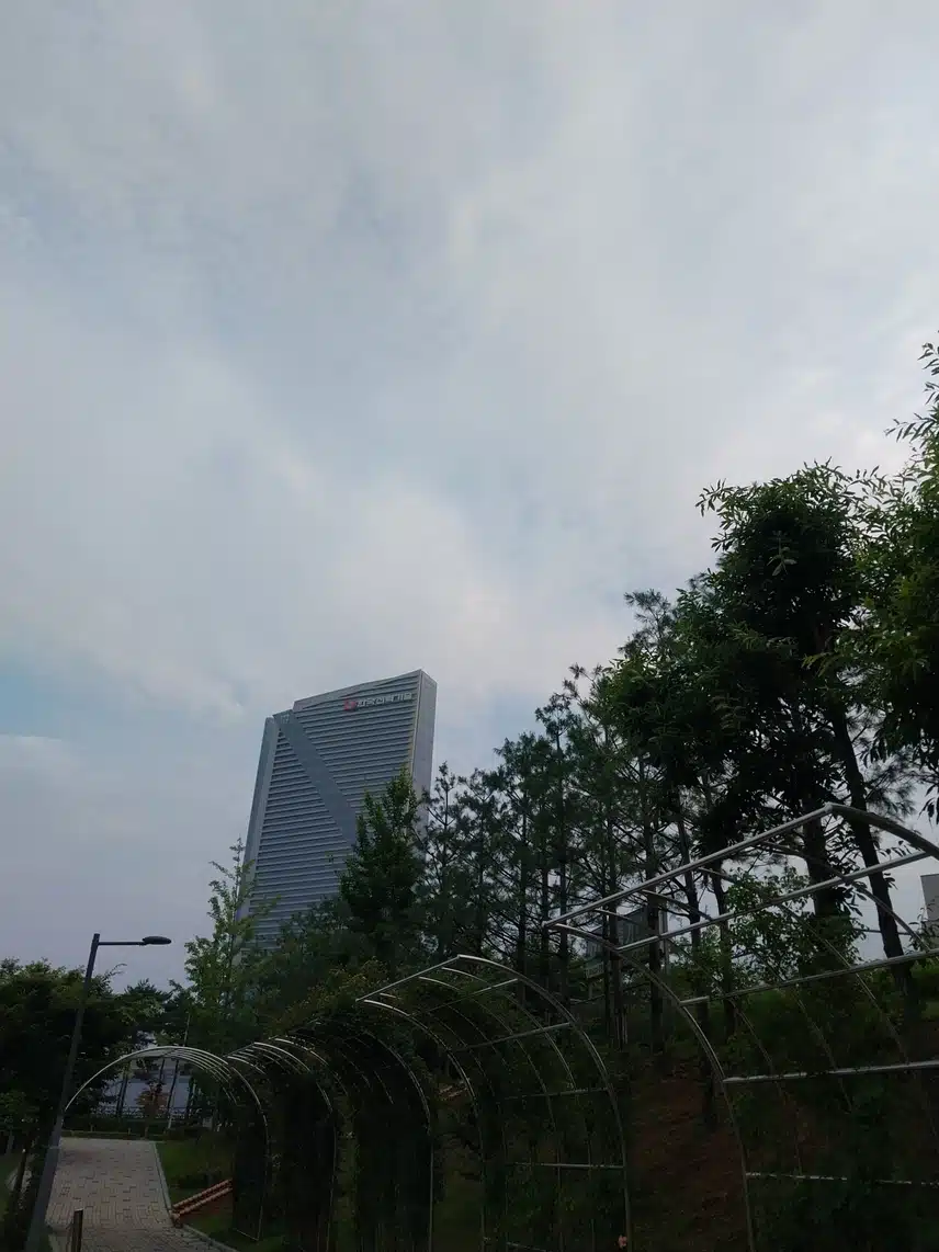 새벽운동 다녀왔어요