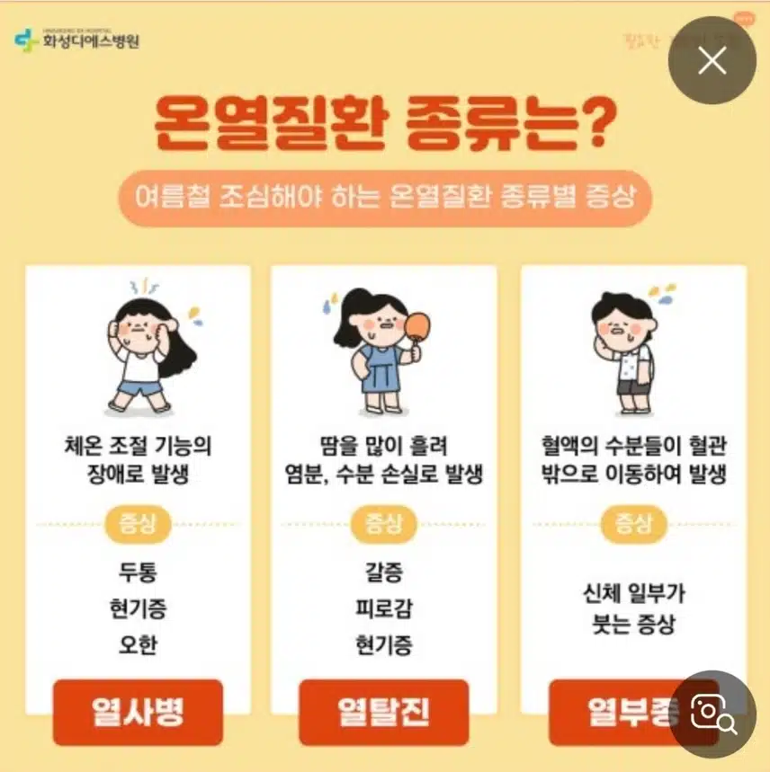 오전 건강정보 