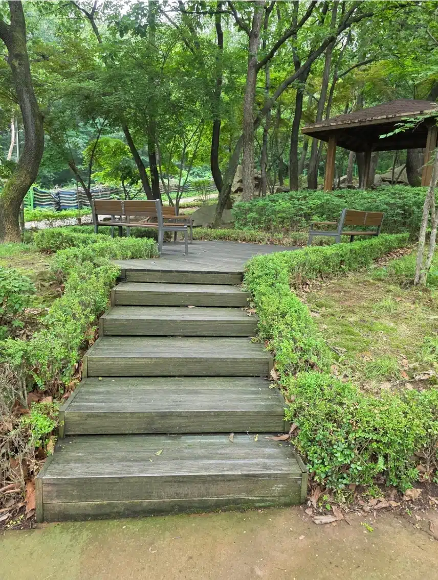 산책중 