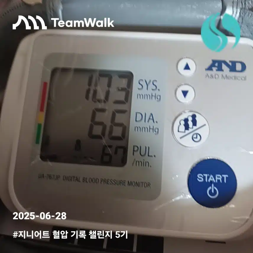 헬압6일차인증