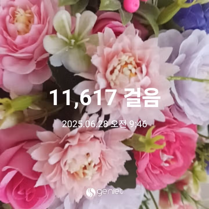 오전 운동 