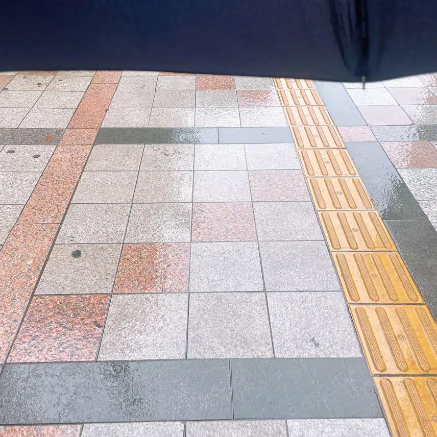 비오네요