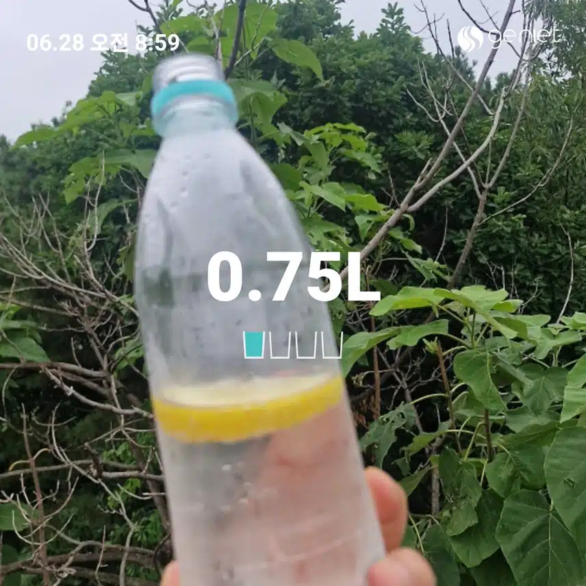 레몬수 한잔 할까요~