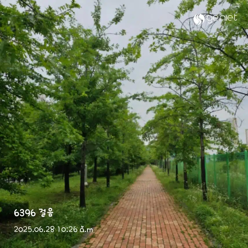 아침 달리기~🏃‍♀️