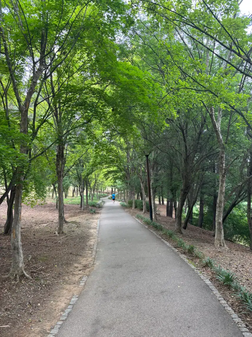 공원산책🏞️