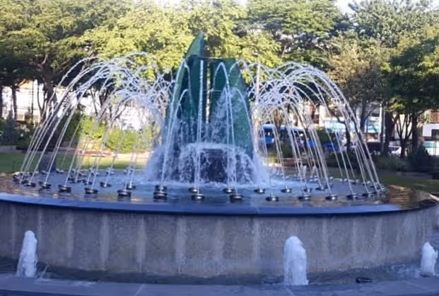 오전 공원 한바퀴
