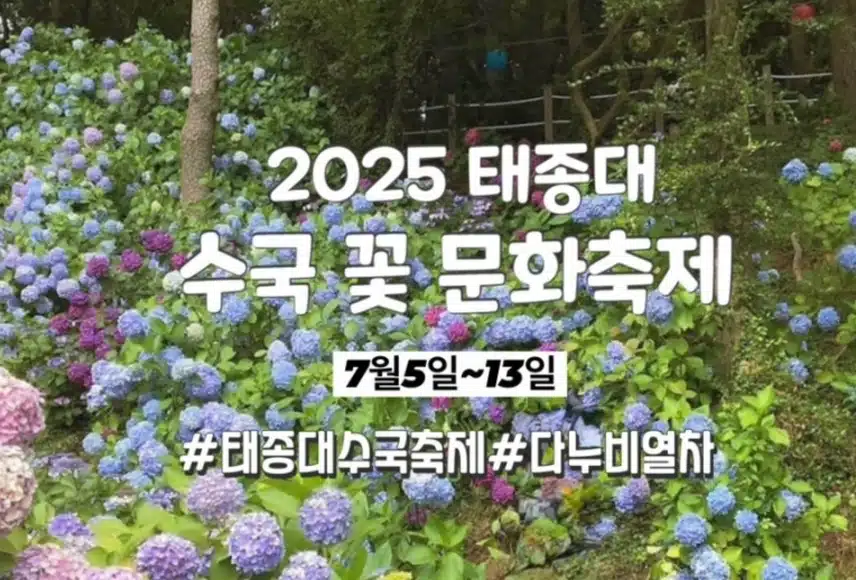 본격적 수국의 계절, 태종사 수국축제 합니다