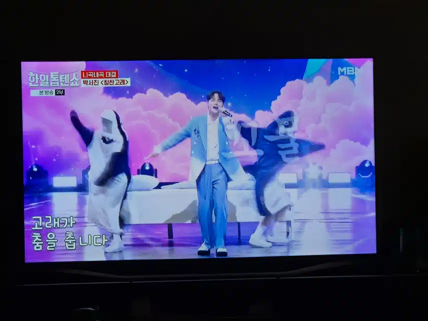 서진님 칭찬고래 즐겁게 잘 부르셨어요