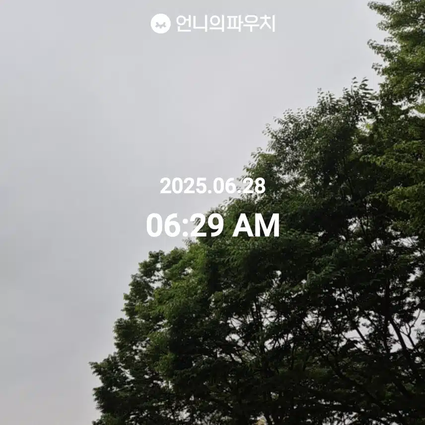 6월 28일 토요일 걷기 