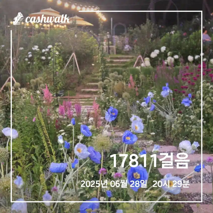 토요일 만보걷기 