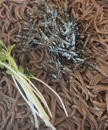 여름이면 생각나는 냉소바 맛집 백소정 추천해요