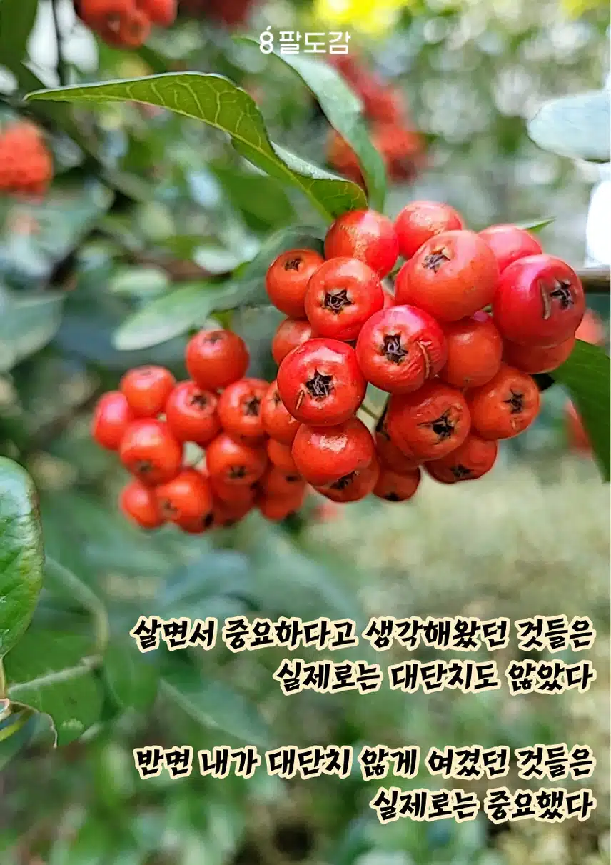 매일 인증샷 발도장인증 잘 하실분만 들어오세요.