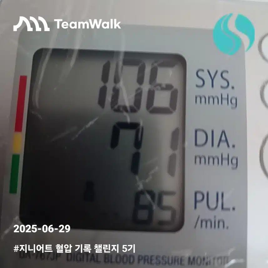 헐압첼인지6일차인증