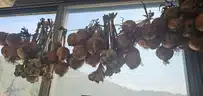 board-img