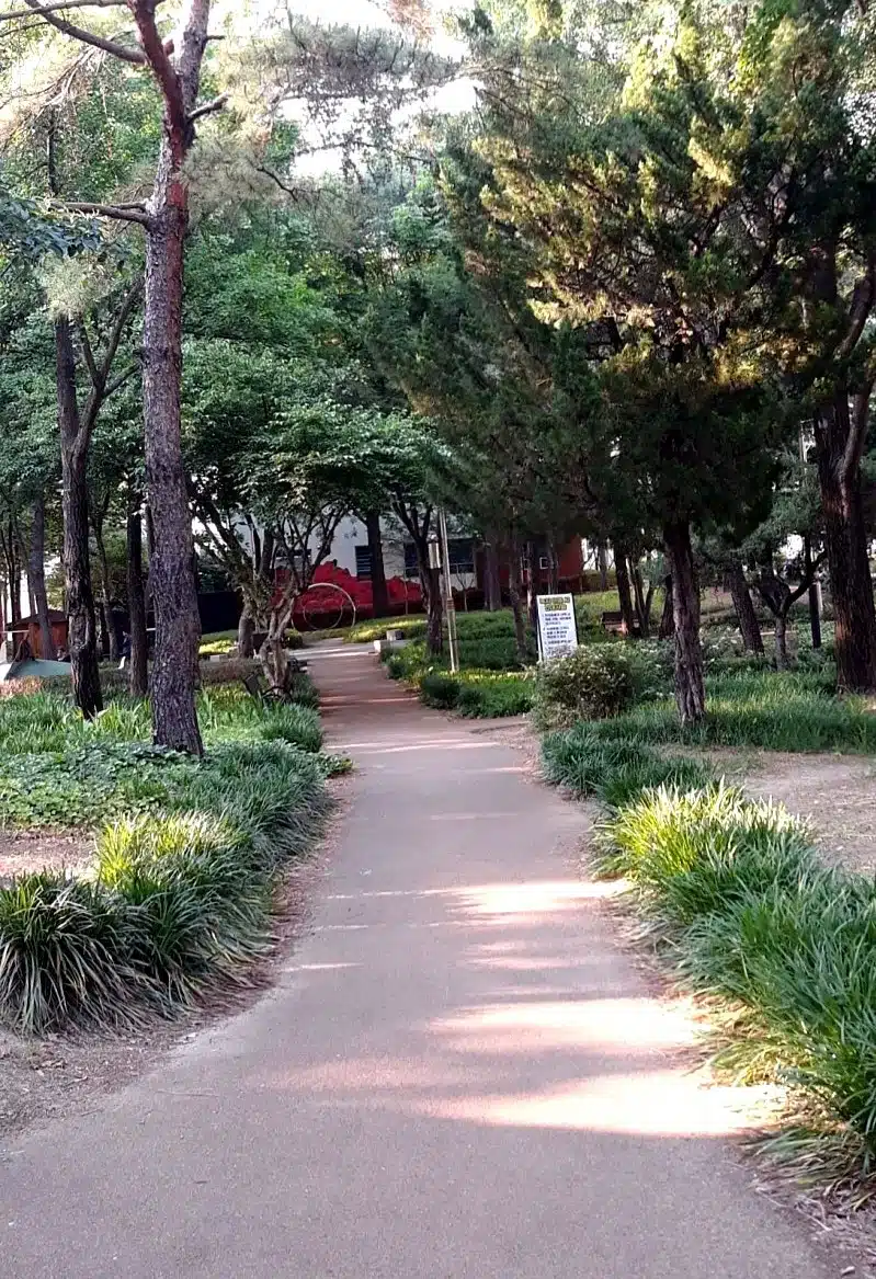 오전산책