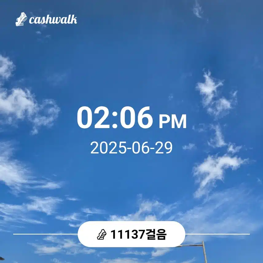 만천보 걸었어요 