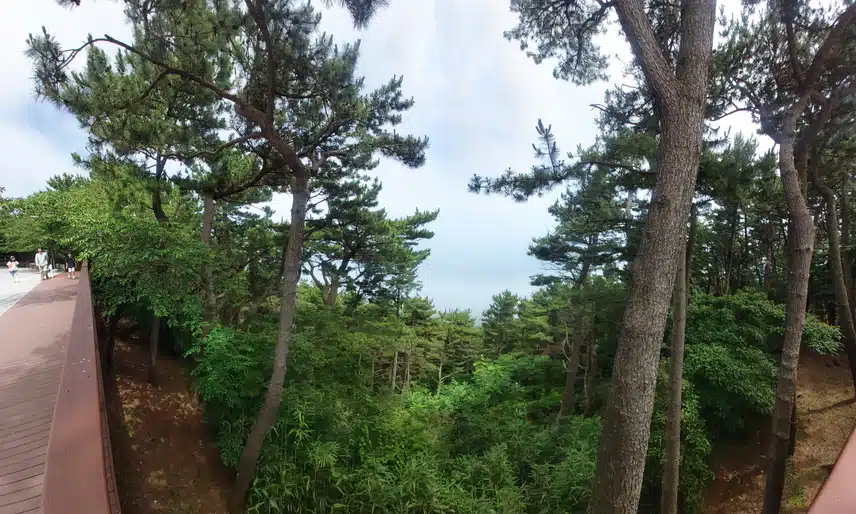너무 덥네요