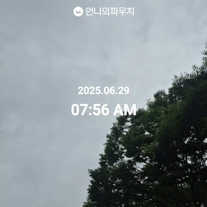 6월 29일 일요일 걷기 