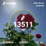 board-img