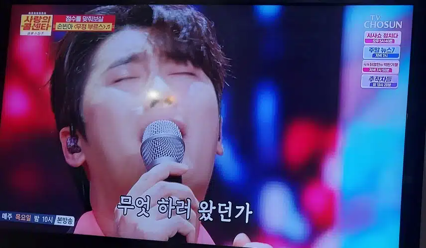 손빈아님 이 무정부르스 불렀어요 