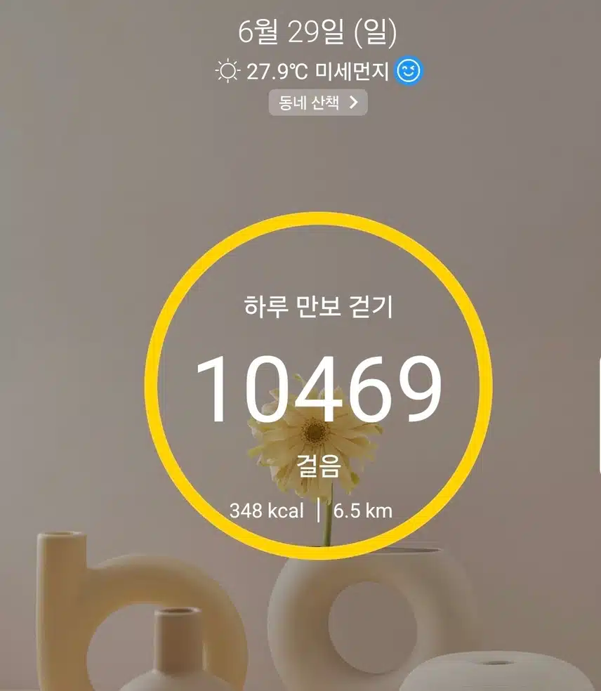 1만보 걷기 운동 완료